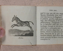 Load image into Gallery viewer, Mills, Alfred. Natural History of 48 Quadrupeds. Darton, Harvey & Darton and J. Harris. London. 1815.