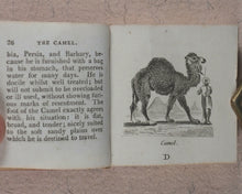 Load image into Gallery viewer, Mills, Alfred. Natural History of 48 Quadrupeds. Darton, Harvey & Darton and J. Harris. London. 1815.