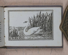 Load image into Gallery viewer, Petit Naturaliste. Marcilly. Rue St. Jacques, no. 10. Paris. No date but 1829.