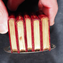 Load image into Gallery viewer, Shakespeare, William. Ellen Terry: A Midsummer Night's Dream, Much Ado About Nothing, Merchant Of Venice, Twelfth Night, The Merry Wives of Windsor. Bryce, David & Son Glasgow. 1904. Five matching volumes.