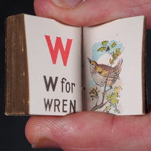 Load image into Gallery viewer, My Tiny Alphabet Book Bryce, David & Son. Glasgow. 1896. 2volumes in one.