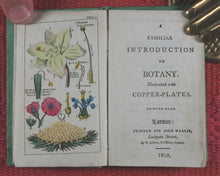 Load image into Gallery viewer, Familiar introduction to botany. Illustrated with copper-plates. John Wallis. London. Printed by T. Gillet. 1803.