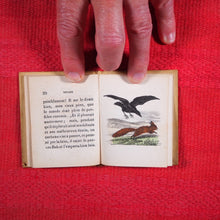 Load image into Gallery viewer, Voyages et aventures de Bob l'écureuil. Texte traduit de l'anglais. >>MINIATURE FRENCH BOOK OF A SQUIRREL<< Publication Date: 1834 CONDITION: VERY GOOD