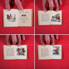 Load image into Gallery viewer, Voyages et aventures de Bob l&#39;écureuil. Texte traduit de l&#39;anglais. &gt;&gt;MINIATURE FRENCH BOOK OF A SQUIRREL&lt;&lt; Publication Date: 1834 CONDITION: VERY GOOD
