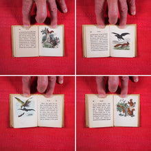 Load image into Gallery viewer, Voyages et aventures de Bob l&#39;écureuil. Texte traduit de l&#39;anglais. &gt;&gt;MINIATURE FRENCH BOOK OF A SQUIRREL&lt;&lt; Publication Date: 1834 CONDITION: VERY GOOD
