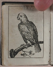 Load image into Gallery viewer, Marshall, John. Infant&#39;s Library. [Book 8] (Birds). Marshall, John. No. 4 Aldermary Churchyard in Watling Street. London. Circa 1800
