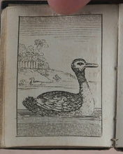 Load image into Gallery viewer, Marshall, John. Infant&#39;s Library. [Book 8] (Birds). Marshall, John. No. 4 Aldermary Churchyard in Watling Street. London. Circa 1800
