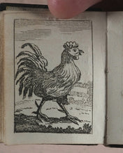 Load image into Gallery viewer, Marshall, John. Infant&#39;s Library. [Book 8] (Birds). Marshall, John. No. 4 Aldermary Churchyard in Watling Street. London. Circa 1800
