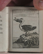 Load image into Gallery viewer, Marshall, John. Infant&#39;s Library. [Book 8] (Birds). Marshall, John. No. 4 Aldermary Churchyard in Watling Street. London. Circa 1800
