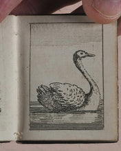 Load image into Gallery viewer, Marshall, John. Infant&#39;s Library. [Book 8] (Birds). Marshall, John. No. 4 Aldermary Churchyard in Watling Street. London. Circa 1800
