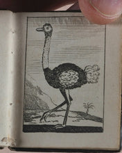 Load image into Gallery viewer, Marshall, John. Infant&#39;s Library. [Book 8] (Birds). Marshall, John. No. 4 Aldermary Churchyard in Watling Street. London. Circa 1800

