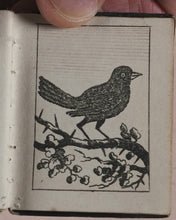 Load image into Gallery viewer, Marshall, John. Infant&#39;s Library. [Book 8] (Birds). Marshall, John. No. 4 Aldermary Churchyard in Watling Street. London. Circa 1800
