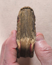 Load image into Gallery viewer, Whole booke of Psalmes Collected into English meeter by Thomas Sternehold, Iohn Hopkins, and others.Company of Stationers. London. 1627.
