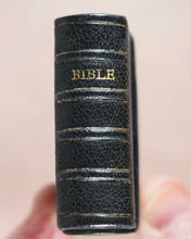 Load image into Gallery viewer, Holy Bible containing Old and New testaments. Bryce, David &amp; Son. Glasgow. 1896.&gt;&gt;Gorgeously rebound English miniature Bible&lt;&lt;
