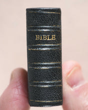 Load image into Gallery viewer, Holy Bible containing Old and New testaments. Bryce, David &amp; Son. Glasgow. 1896.&gt;&gt;Gorgeously rebound English miniature Bible&lt;&lt;
