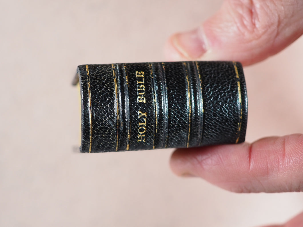 Holy Bible containing Old and New testaments. Bryce, David & Son. Glasgow. 1902. Coronation of Edward vii and Queen Alexandra, 1901. >>Miniature Coronation Bible<<