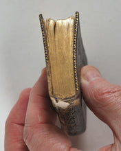 Load image into Gallery viewer, Sibb[e]s, Richard. Divine Meditations. Religious Tract Society. The Depository, 56 Paternoster Row. London. [Circa 1841].
