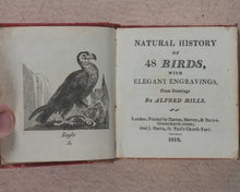 Load image into Gallery viewer, Miniature Historic Library,  in Eight volumes. Early illustrated miniature children&#39;s books in oak chest. Alfred Mills. Darton and Harvey. London. 1807-
