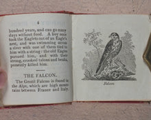 Load image into Gallery viewer, Miniature Historic Library,  in Eight volumes. Early illustrated miniature children&#39;s books in oak chest. Alfred Mills. Darton and Harvey. London. 1807-
