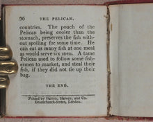 Load image into Gallery viewer, Miniature Historic Library,  in Eight volumes. Early illustrated miniature children&#39;s books in oak chest. Alfred Mills. Darton and Harvey. London. 1807-
