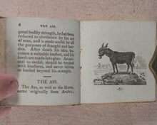 Load image into Gallery viewer, Mills, Alfred. Natural History of 48 Quadrupeds. Darton, Harvey &amp; Darton and J. Harris. London. 1815.
