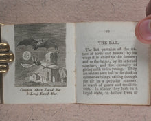 Load image into Gallery viewer, Mills, Alfred. Natural History of 48 Quadrupeds. Darton, Harvey &amp; Darton and J. Harris. London. 1815.
