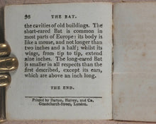 Load image into Gallery viewer, Mills, Alfred. Natural History of 48 Quadrupeds. Darton, Harvey &amp; Darton and J. Harris. London. 1815.
