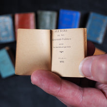 Load image into Gallery viewer, Gracieuse, La . Pairault, P. et Cie. Paris. 1896. Complete with ten French miniature books in Louis XV style bookcase/cabinet.
