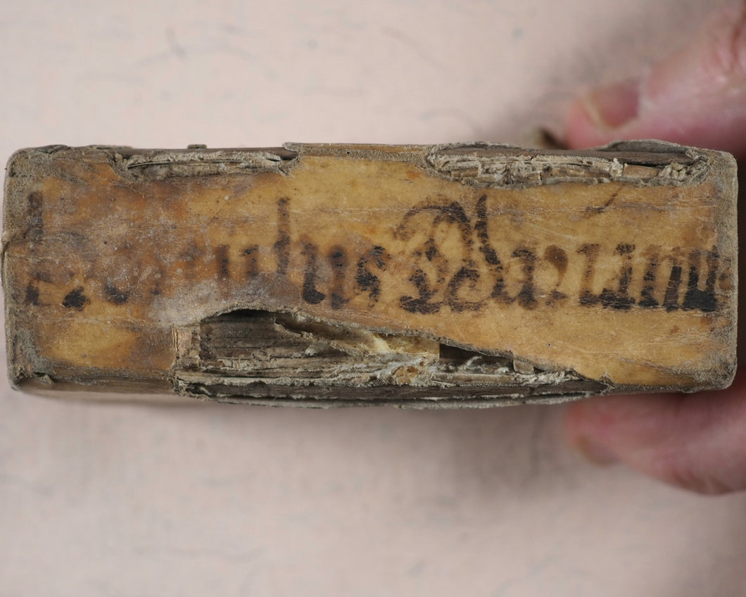 Franco̧is de Lacroix. Hortvlvs Marianvs Sive Praxes Variae colendi Beatißimam V. Mariam. Hubert Reulandt. Luxemburgi. 1627.