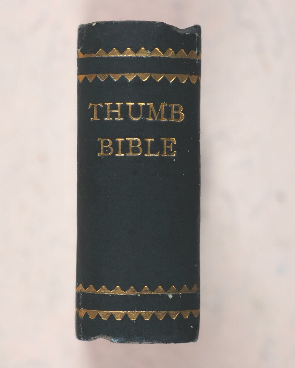 Thumb Bible by [Bishop] J[eremy] Taylor. Randolph & Co., A.D.F. 38, West 23rd Street. New York. 1897.