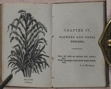 Load image into Gallery viewer, Miniature Language of Flowers and Alphabet of Floral Emblems. Weldon &amp; Co. 9 Southampton Street, Strand, W.C. London. 1848.
