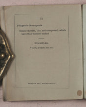 Load image into Gallery viewer, Clavis Botanica. A Key to the Study of Botany: on the System arranged by Linnaeus. Fry, Edmund, Houndsditch. London. 1834.
