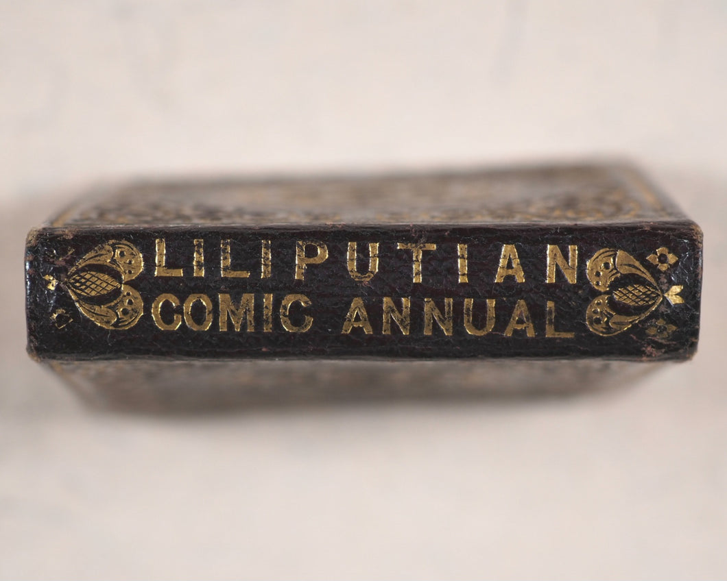 Lilliputian Comic Annual. New year's Gift. From the Author of 