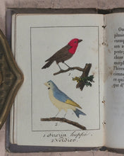 Load image into Gallery viewer, Petite Volière, La. Marcilly, Rue St. Jacques, No. 10. Paris. Circa 1820.
