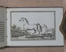 Load image into Gallery viewer, Petit Naturaliste. Marcilly. Rue St. Jacques, no. 10. Paris. No date but 1829.
