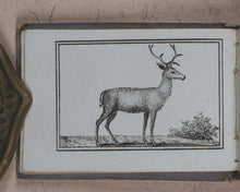 Load image into Gallery viewer, Petit Naturaliste. Marcilly. Rue St. Jacques, no. 10. Paris. No date but 1829.
