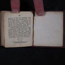 Load image into Gallery viewer, [Forster, Benjamin Meggott]. Botanical Illustrations of the Twenty-Four Classes in the Linnaean System of Vegetables, by Select Specimens of English Plants. Darton, Harvey, and Darton London. 1813.
