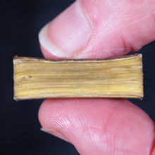 Load image into Gallery viewer, Smallest English Dictionary in the World. Comprising: besides the ordinary &amp; newest words in the language, short explanations of a large number of scientific, philosophical, literary &amp; technical terms. Bryce, David &amp; Son. Glasgow. 1893. SILVER LOCKET
