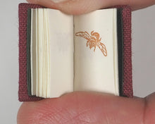Load image into Gallery viewer, Ritscher, Paul]. PB's Bug Book. PBR. [Monterey Bay]. 1998. Numbered, 43 out of 100 copies.
