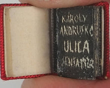 Load image into Gallery viewer, Andruško, Karolj. Ulica. K. Andruskó. Senta. 1972.
