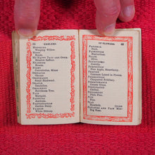 Load image into Gallery viewer, Emblematic Language of Flowers. &gt;&gt;ENCHANTING HARLEQUIN BORDERS&lt;&lt; Publication Date: 1844 CONDITION: GOOD
