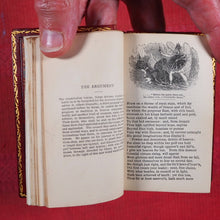 Load image into Gallery viewer, Milton, John. Poetical works of John Milton &gt;&gt;MINIATURE SIGNED BINDING&lt;&lt;  Publication Date: 1840 CONDITION: VERY GOOD
